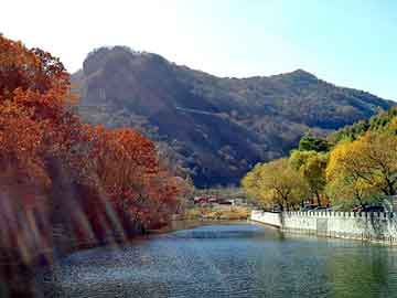 新澳天天开奖资料大全旅游团，印度海娜花洗发水是真的吗